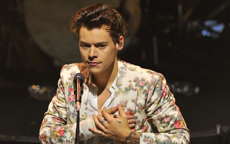 Harry Styles to produce sitcom based on his life